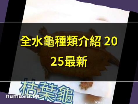 全水龜種類