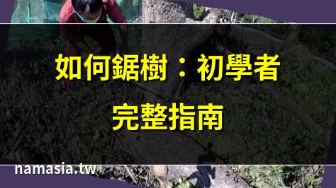 如何鋸樹
