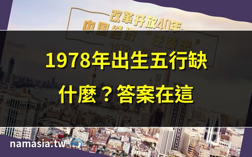1978年五行缺什么